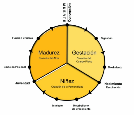 adivinación y tarot